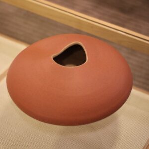 Vaso Orgânico Terroso