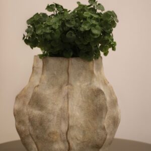 Galho Verde 36cm