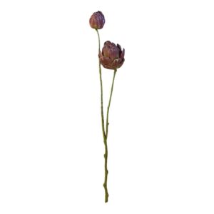 Haste Protea 2 Cores