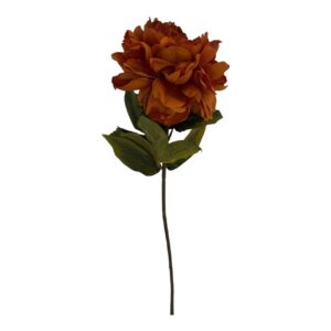PEONIA