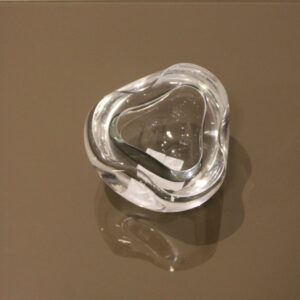 Vaso Orgânico Transparente P